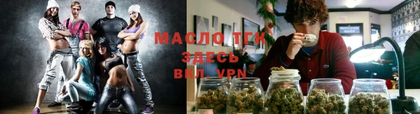 сатива Аркадак