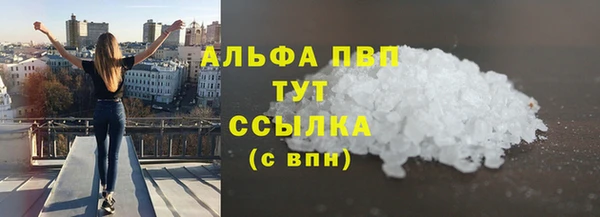 сатива Аркадак