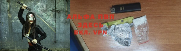 сатива Аркадак