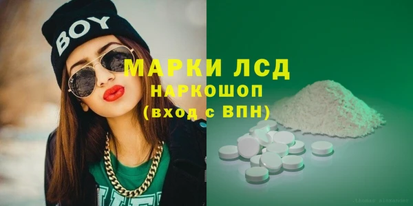 сатива Аркадак