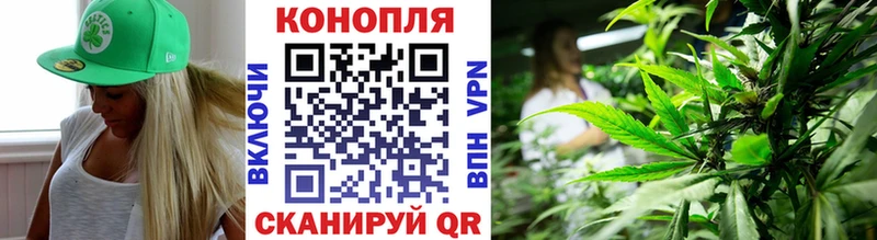 Канабис ГИДРОПОН  mega tor  Зверево 